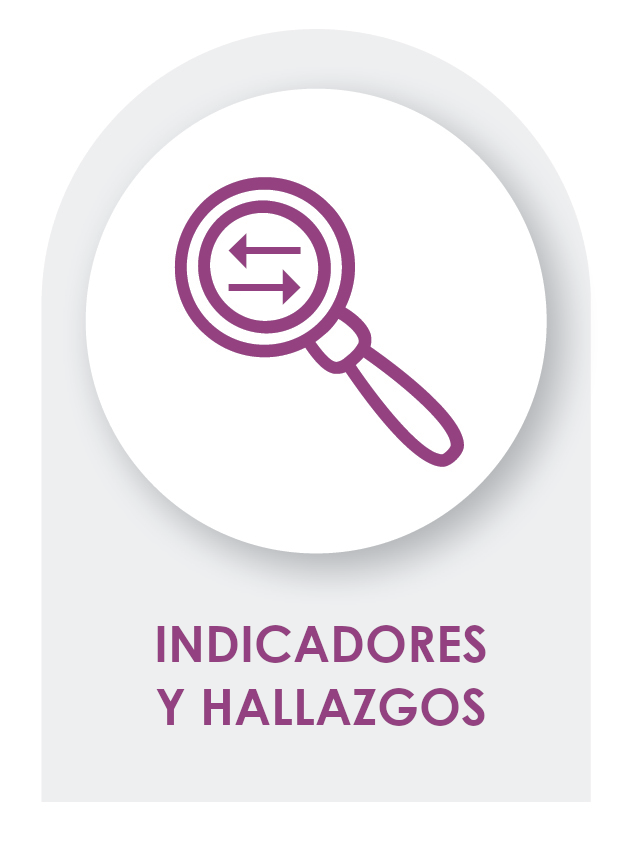 INDICADORES Y HALLAZGOS